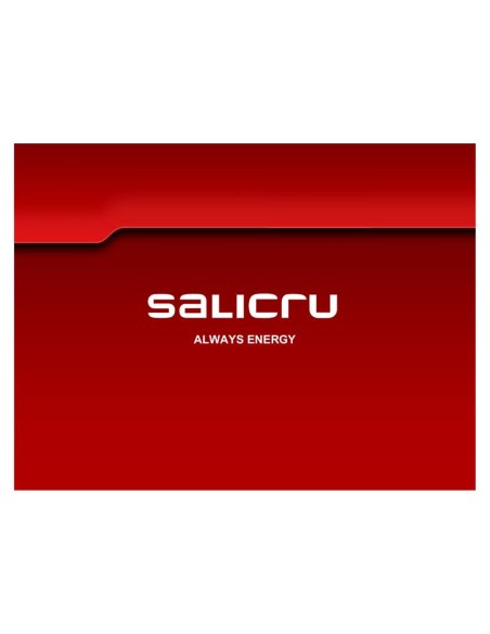 BATERIA UPS SALICRU 9AH/12V