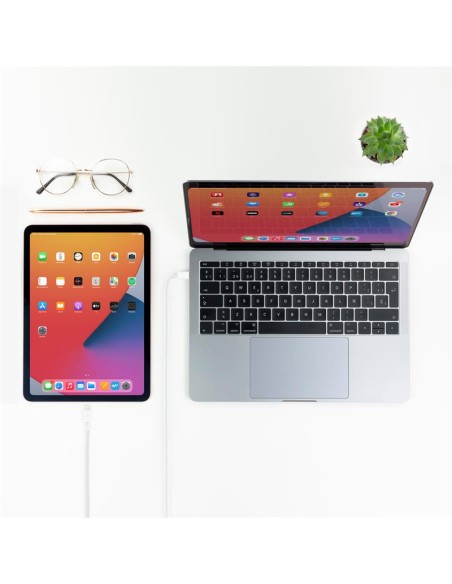 CABLE LIGHTNING A USB-C NANOCABLE 1M