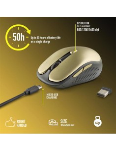 RATON NGS EVO RUST WIRELESS SILENT GOLD 2