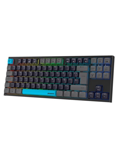 TECLADO PHOENIX ROYAL GAMING MECANICO USB RGB BLACK