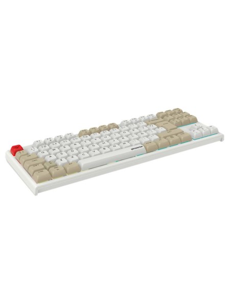 TECLADO PHOENIX ROYAL GAMING MECANICO TKL USB RGB WHITE