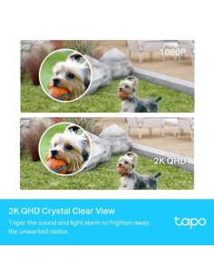 CAMARA IP TP-LINK TAPO C420S2 WIRELESS 2K QHD IP65 EXTERIOR (PACK 2UD)