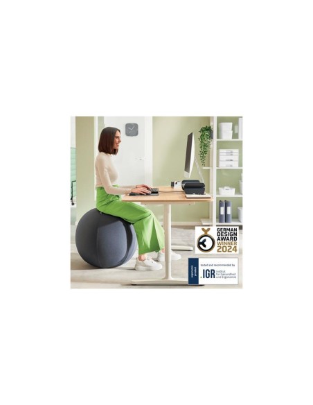 ASIENTO BALON LEITZ ANTIDESLIZANTE ERGO ACTIVE 55CM GREY