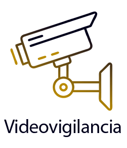 Videovigilancioa